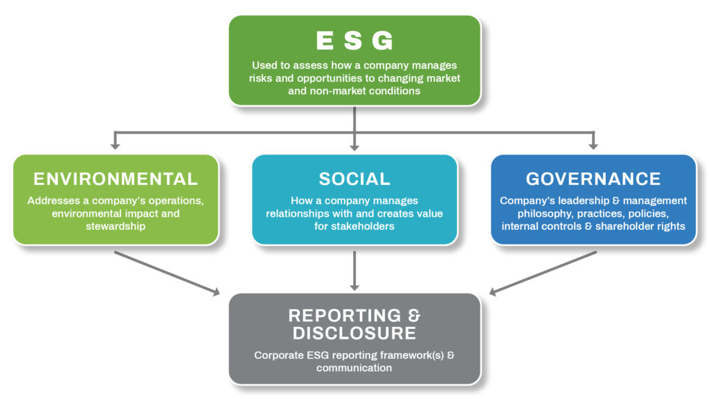 ESG reporting defined graphic