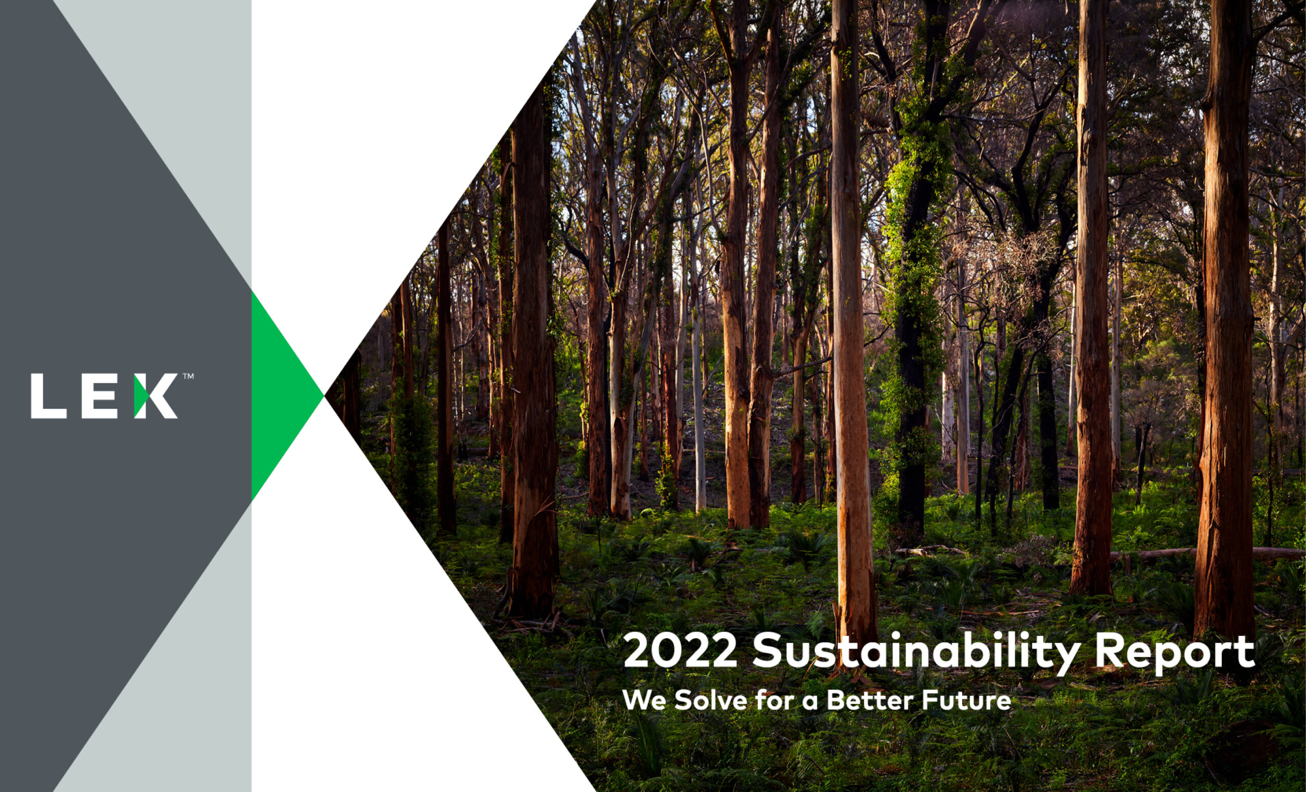 Cover design for L.E.K. Consulting 2022 Sustainability Report