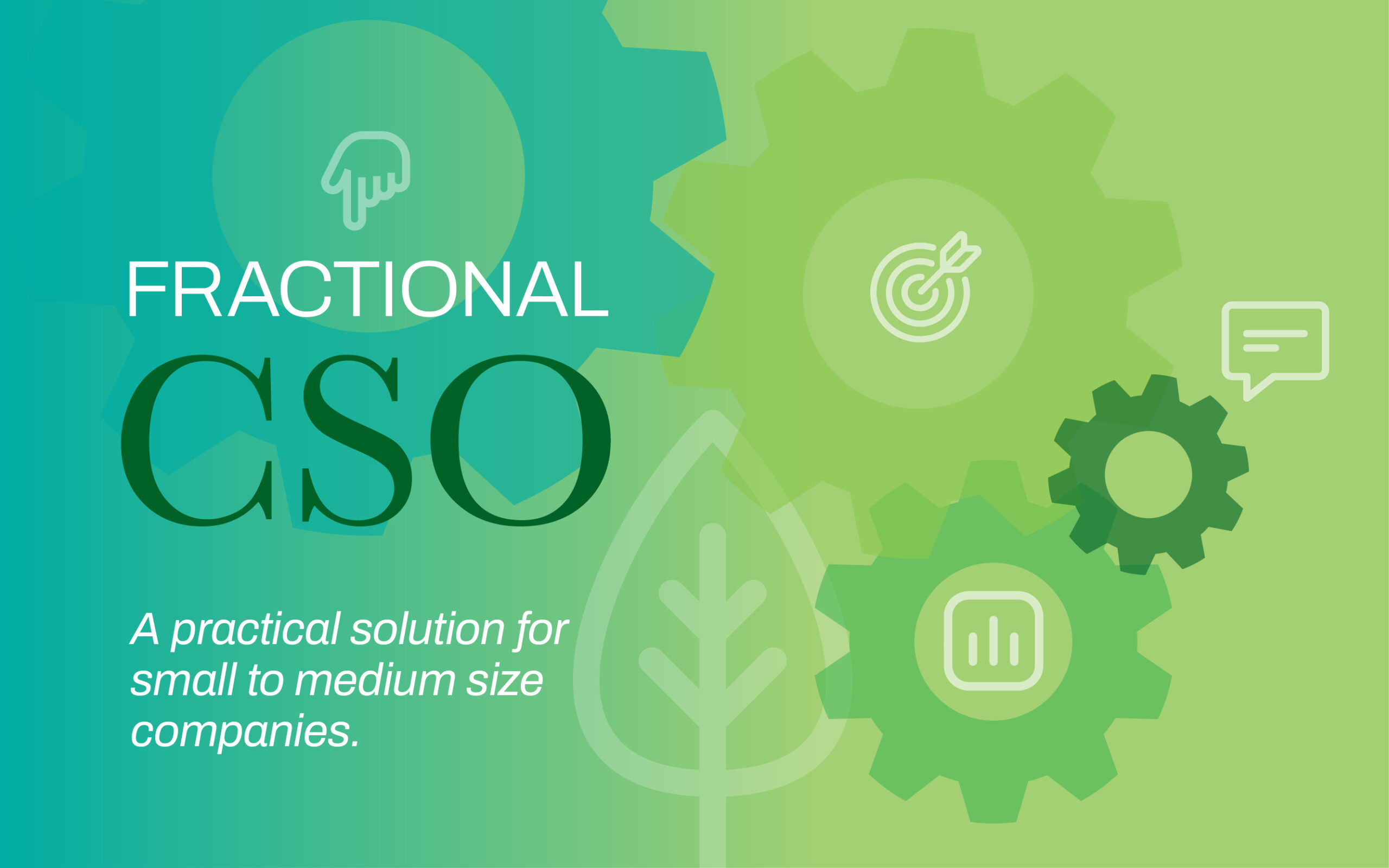Fractional CSO solutions graphic