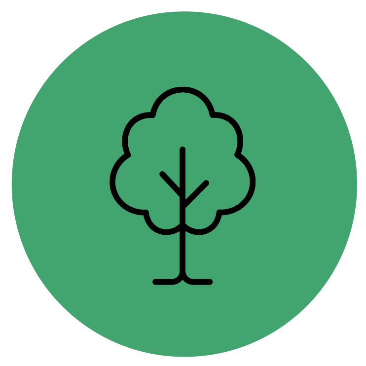 Forest Management icon