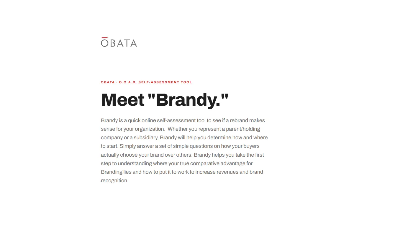 Meet BRANDY<sup>™</sup>